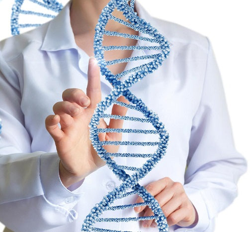 DNA File Analysis
